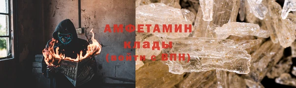 стаф Нея