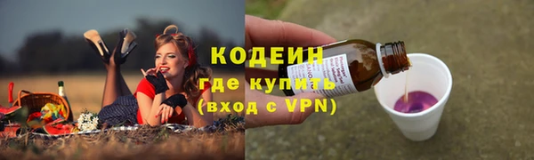 крисы Гусиноозёрск