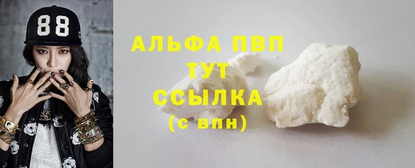 стаф Нея