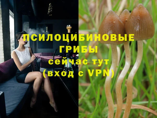 прущий лед Нефтегорск