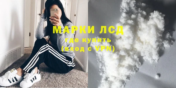 стаф Нея