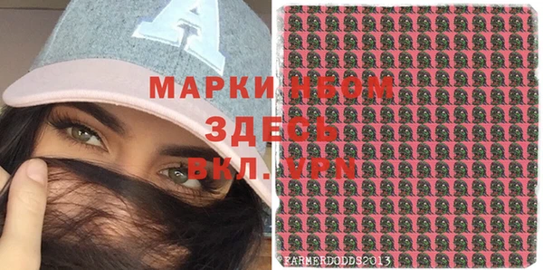 стаф Нея