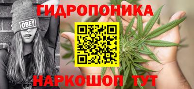 шишки Апрелевка