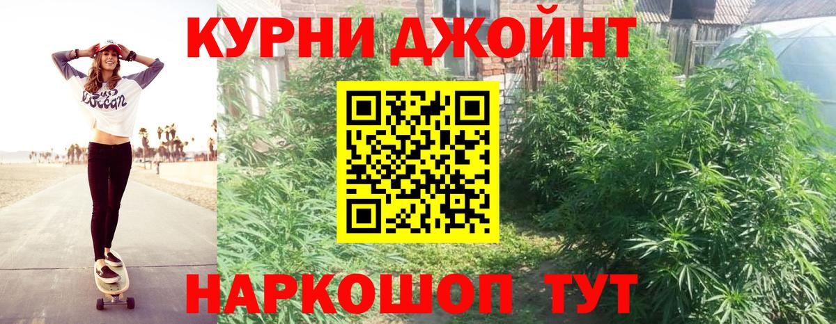 Каннабис индика Курганинск